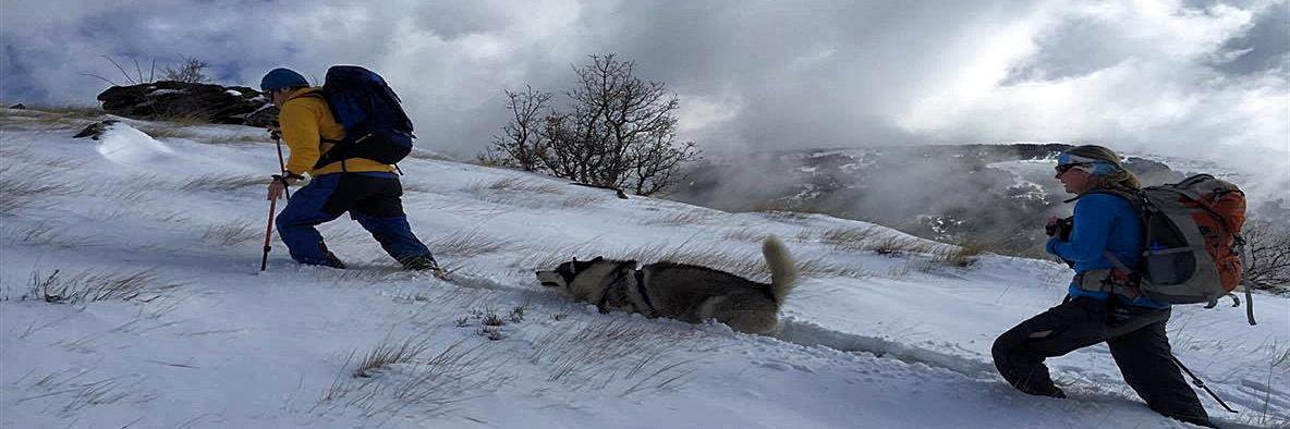 Kiersten Rowland 🐺🌻⛄🏔️ banner