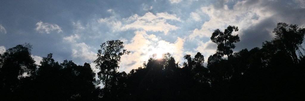 Mew_JY banner