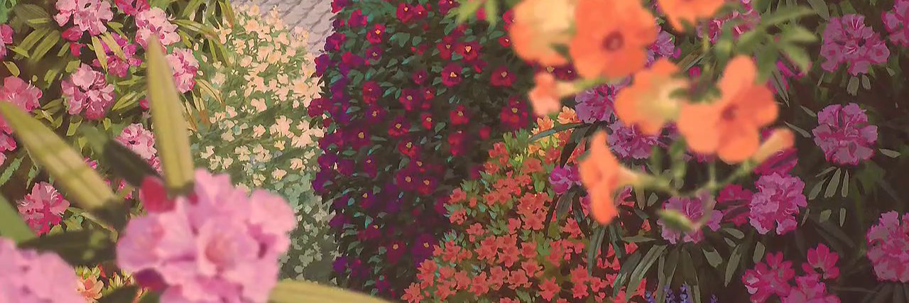 dnrgv's profile banner image