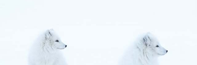 lzing27720's profile banner image