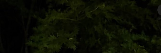 saintezk's profile banner image