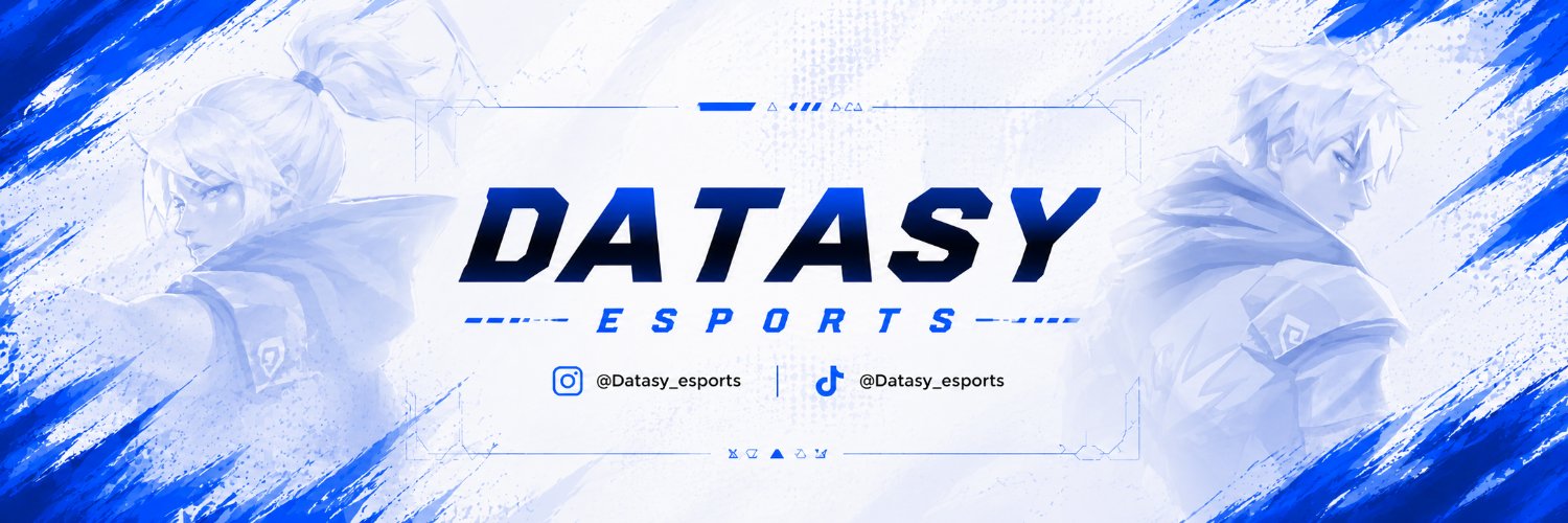 Datasy banner