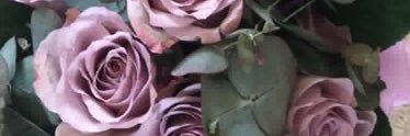 linda walker banner