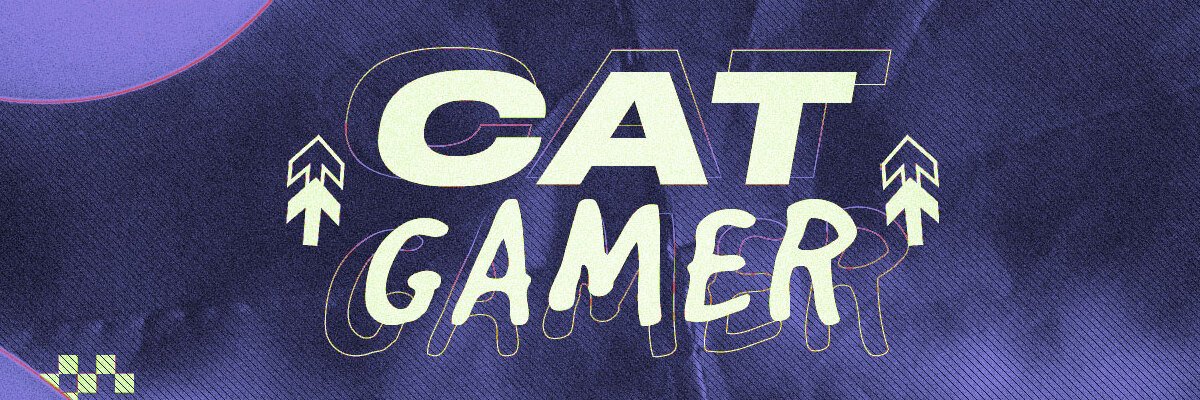 Catto Gamer banner