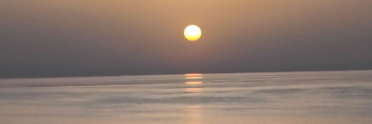 Pascal Smulders banner