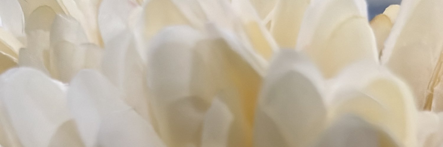 Hanan1413M's profile banner image