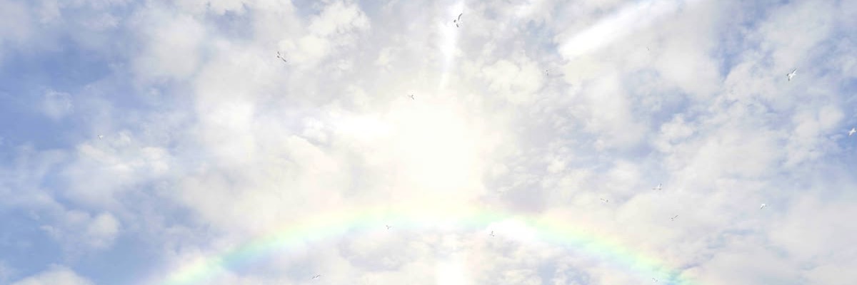 nana banner