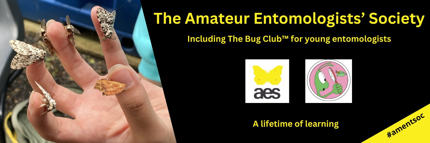 AES - amentsoc.org banner