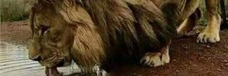 monu9787's profile banner image