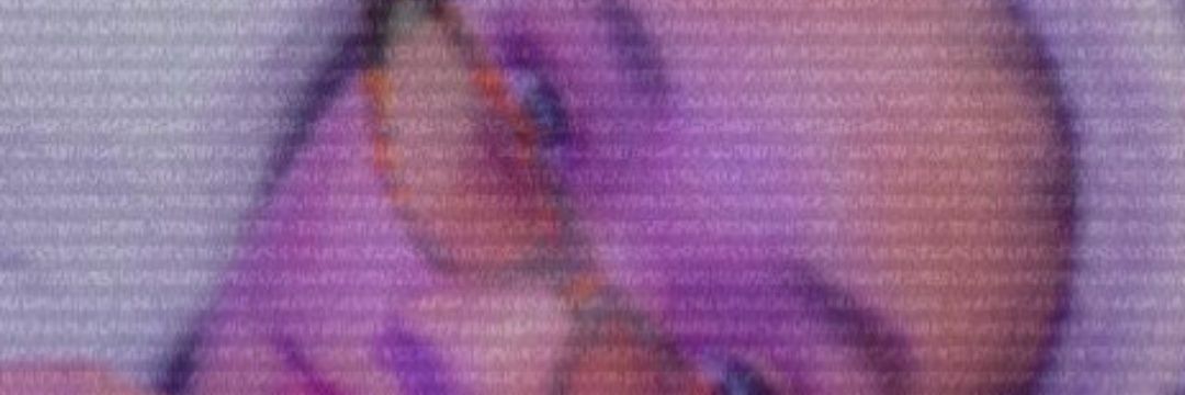 ndeew_12's profile banner image
