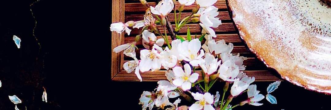 choyshaowei's profile banner image