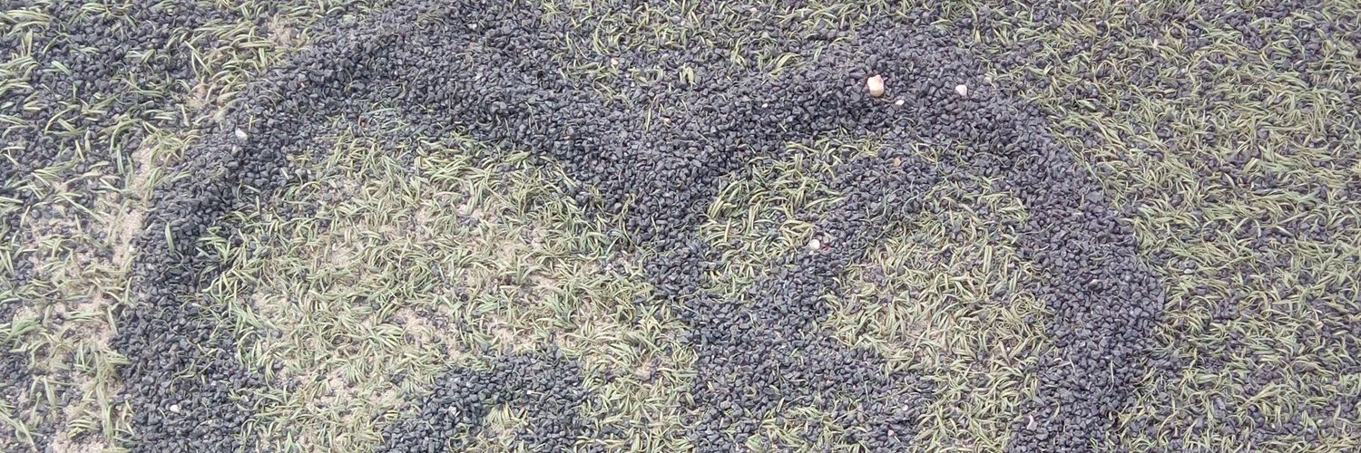 Frank0Brown's profile banner image