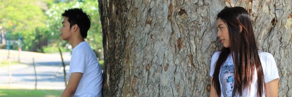 steffanyhugo's profile banner image