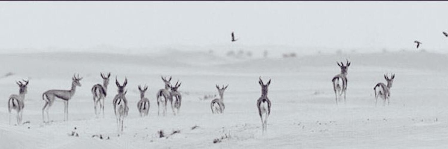 EEEo0o___'s profile banner image