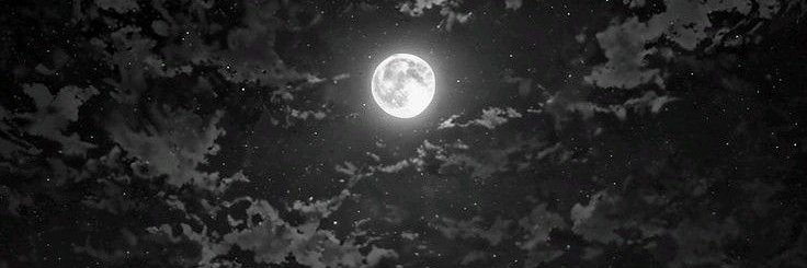 KoopP59031's profile banner image