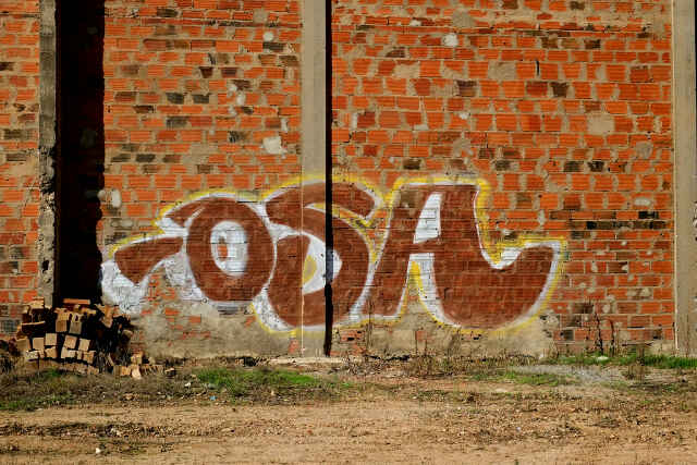 ocha_pita's profile banner image