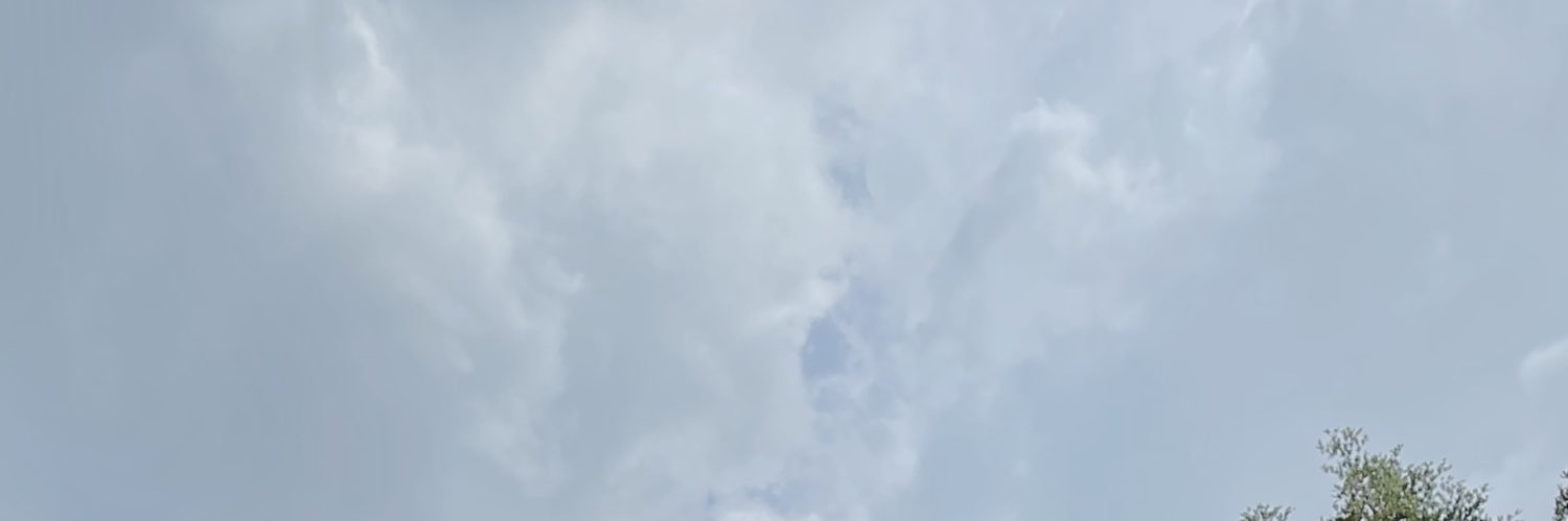 saraahnurs's profile banner image