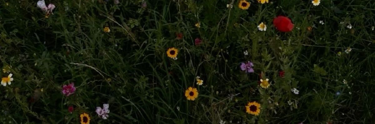 하꾸문 banner
