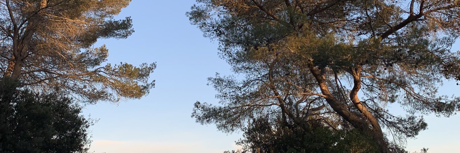HayilatMaxence's profile banner image