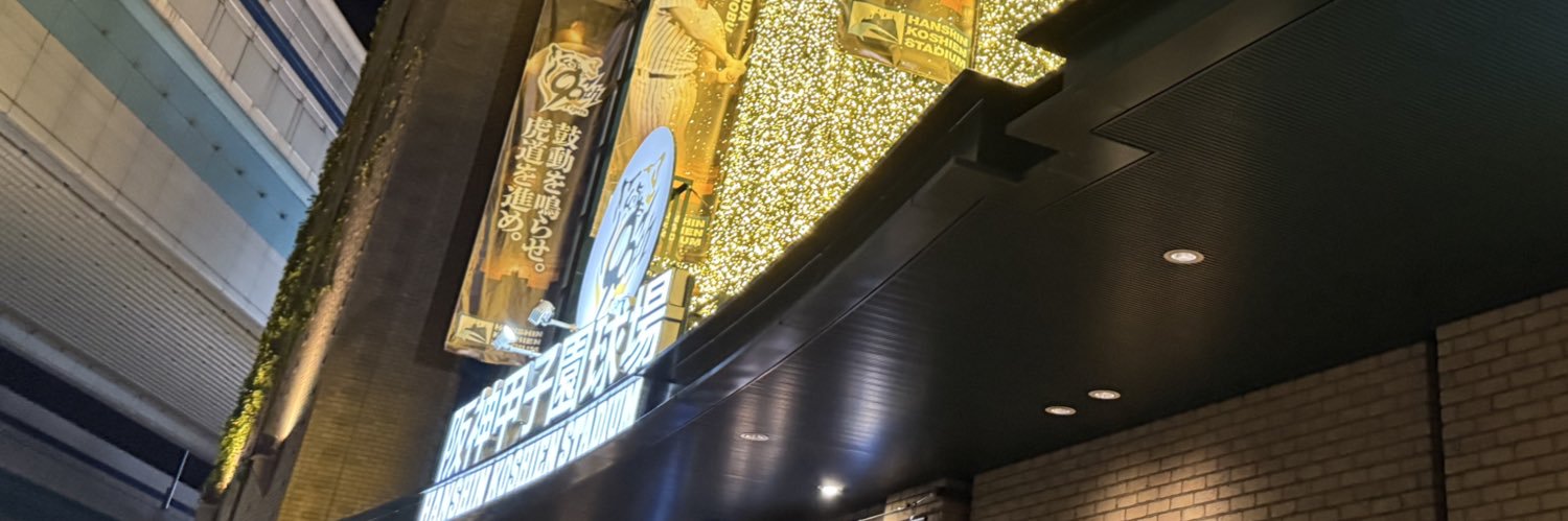 Yoshi🐯 banner