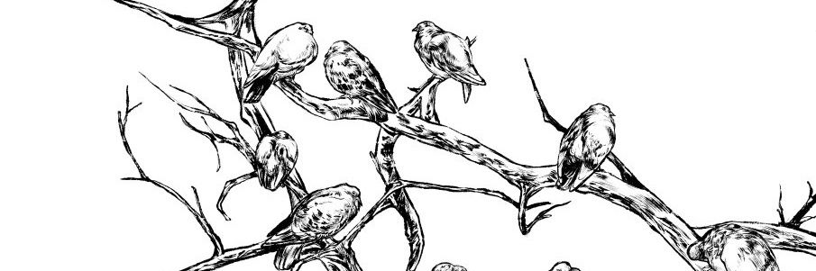 Caproptera's banner