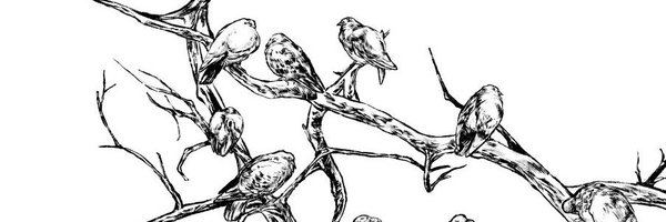 Caproptera999 Profile Banner