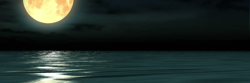 Abustalicious's profile banner image