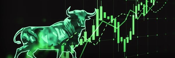 Bull Trading 🐂 banner