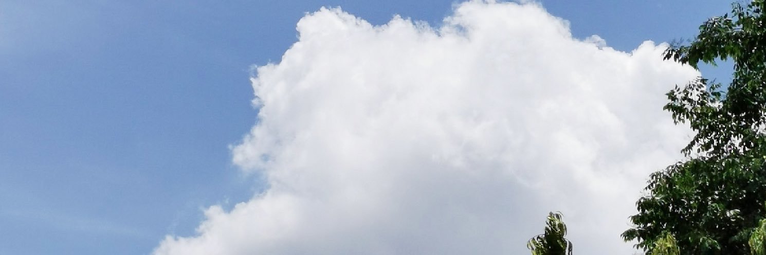 titapalm's profile banner image