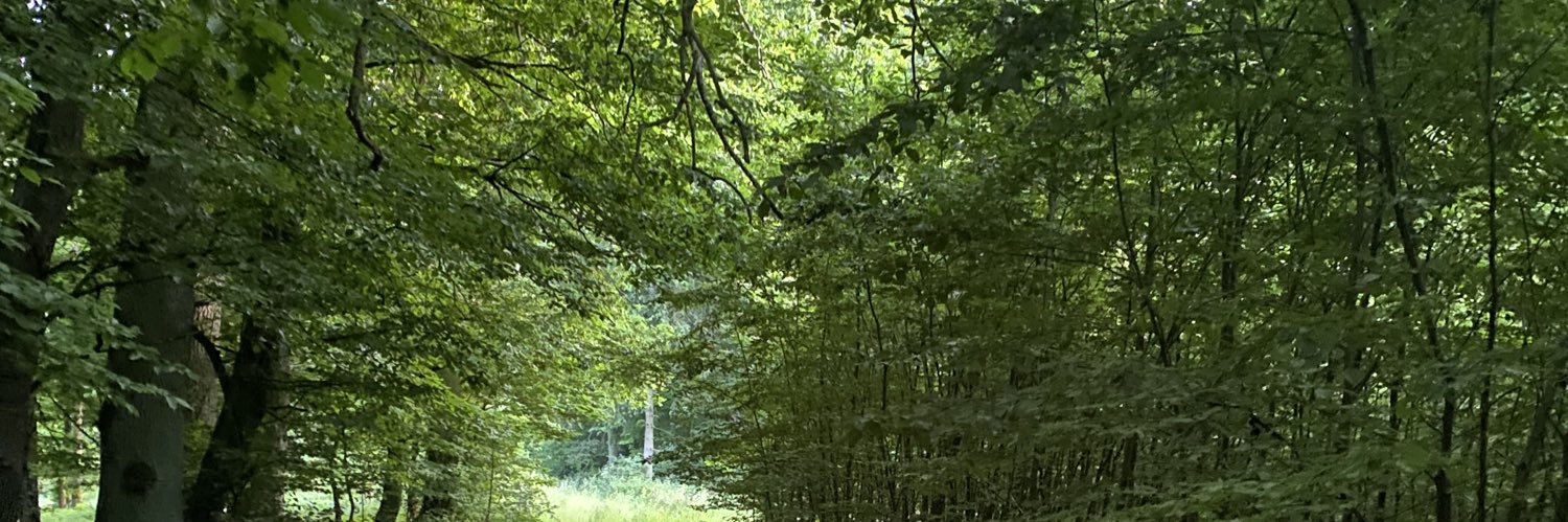 tauroadb's profile banner image