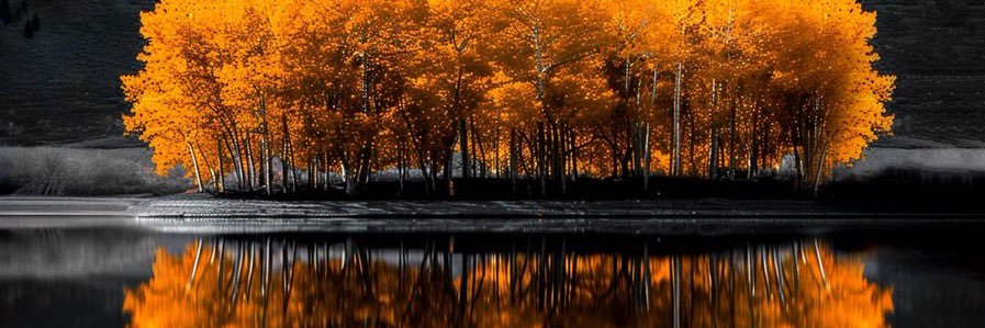 camyIopez's profile banner image