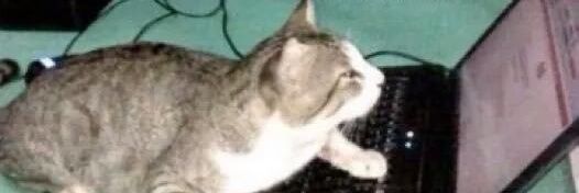 Julyy banner
