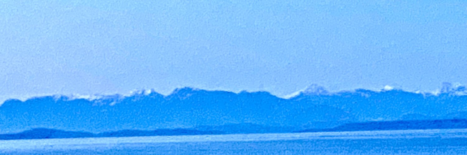 Joni Simpson banner