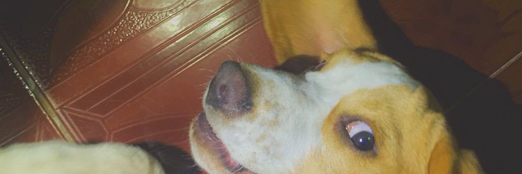 cjbrmt's profile banner image