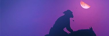 cowboy_stables's profile banner image