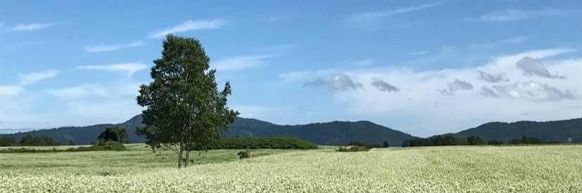 kenken_shou's profile banner image