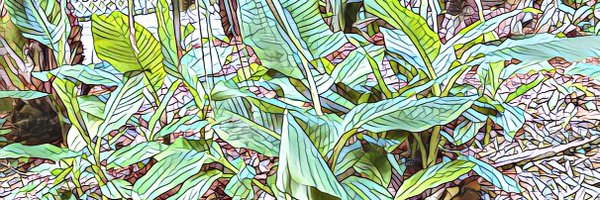 BeaCurious Profile Banner
