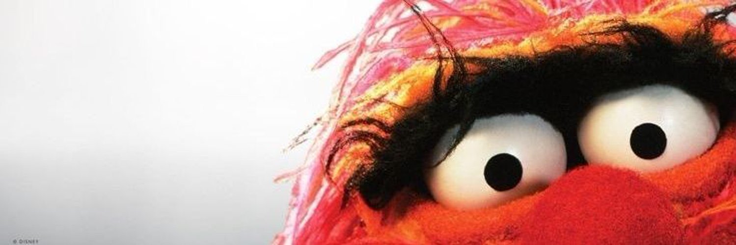 Mange Du Caca banner