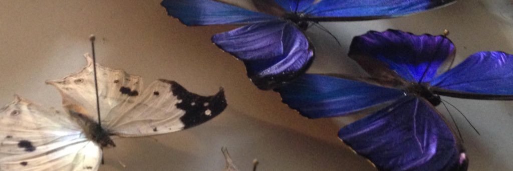 JOSHHYDLER's profile banner image