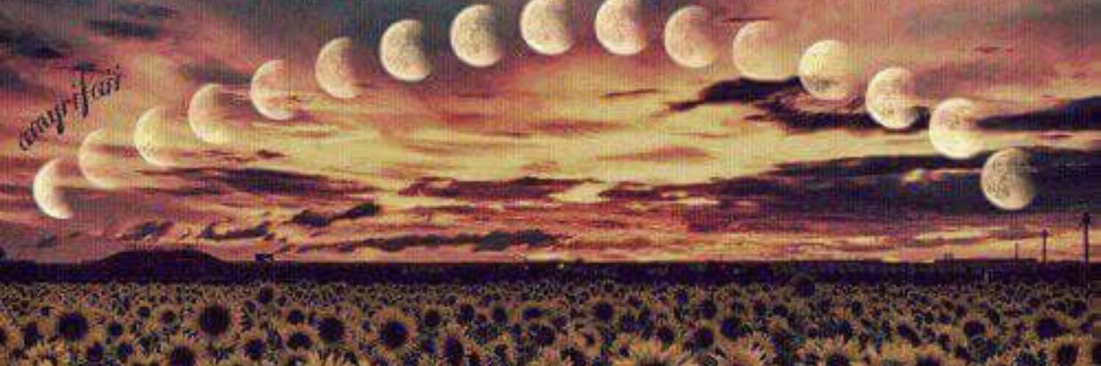 Lady_Thorndike's profile banner image