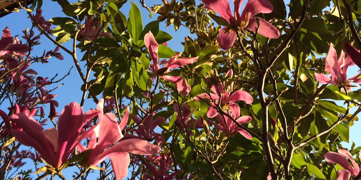 gutperal's profile banner image