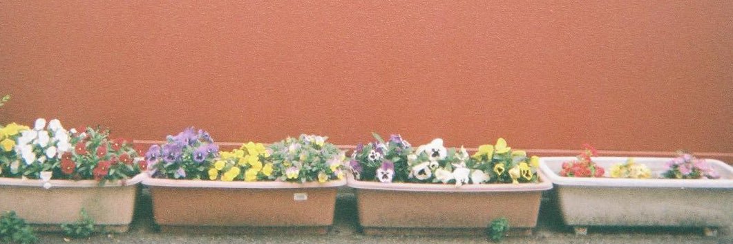 hinari0921's profile banner image