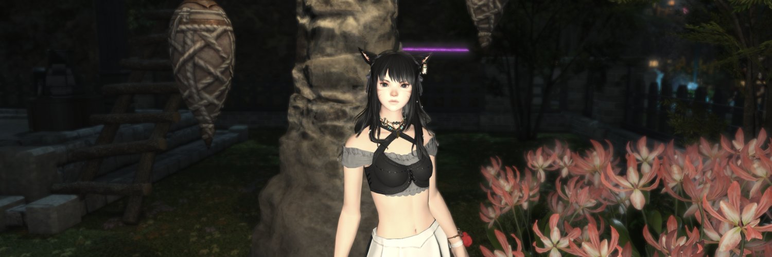 MeiNikia's profile banner image
