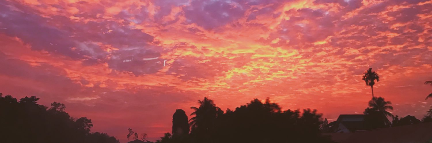 MalinNaseri's profile banner image