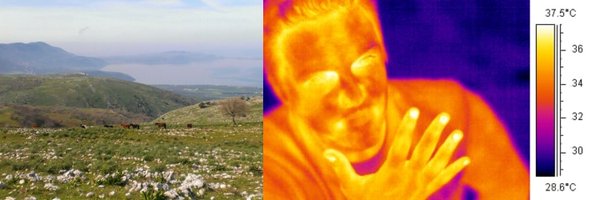 RogerDAntuono Profile Banner