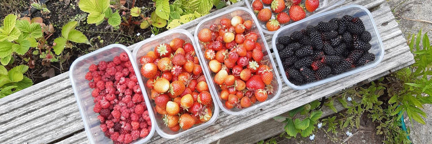 Steven (spoken for) banner