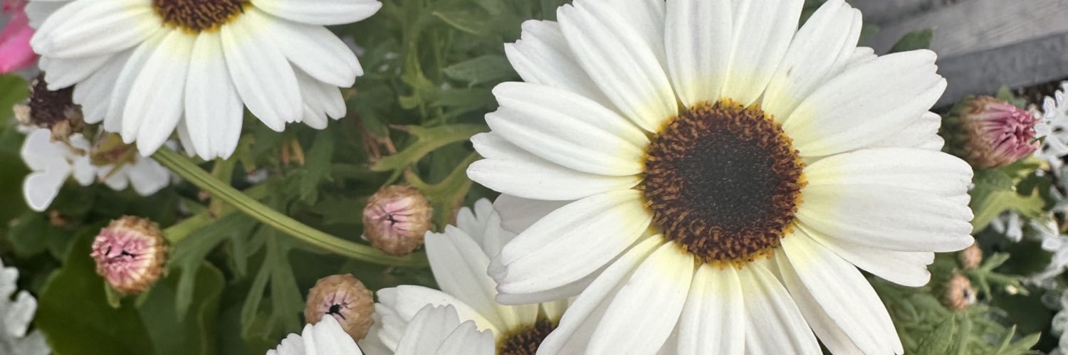 JustJay_XOX's profile banner image