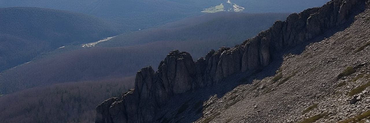 Zeid8805's profile banner image