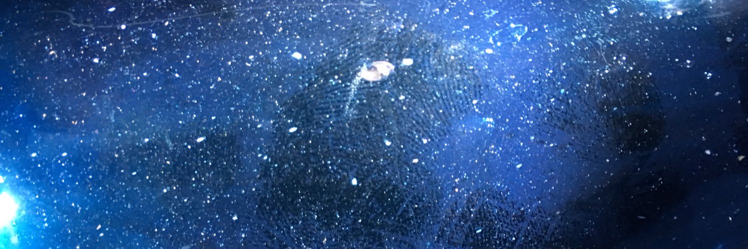 Marialaura Ghidini banner