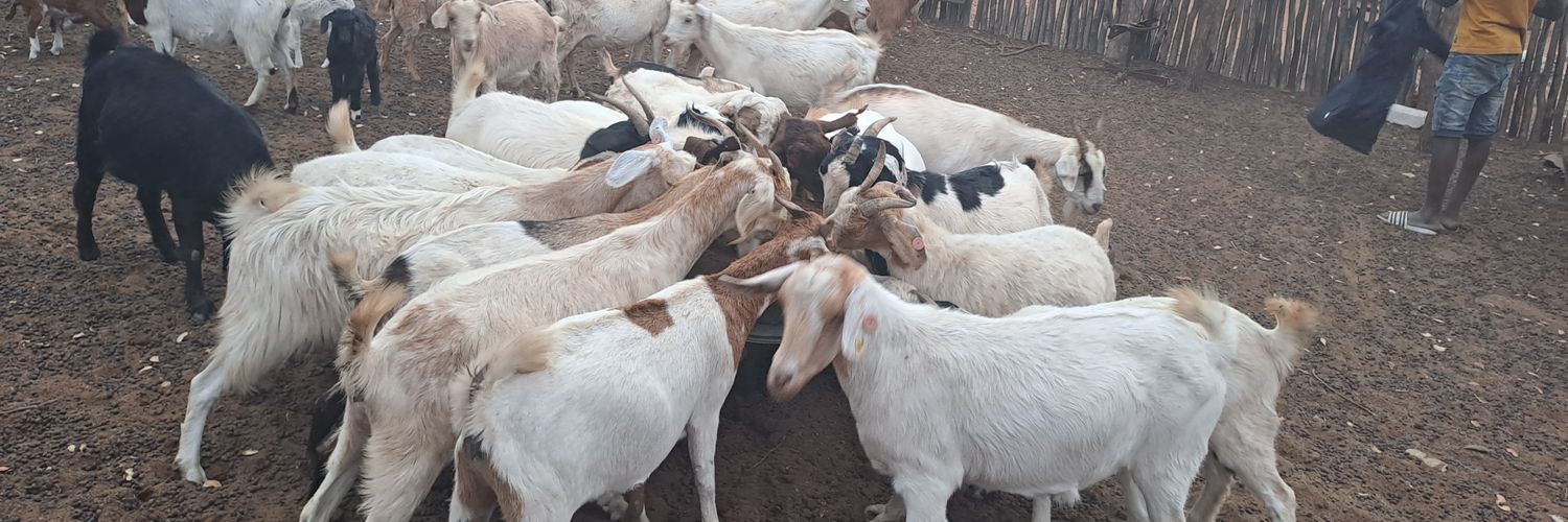 Jephreys banner